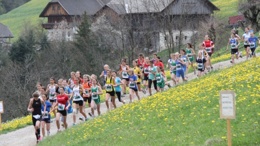 VSS Dorflauf in Oberwielenbach