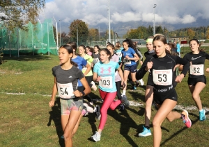 Cross OS-MS Bruneck