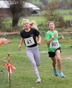 Cross Bezirk Ost 24.10.